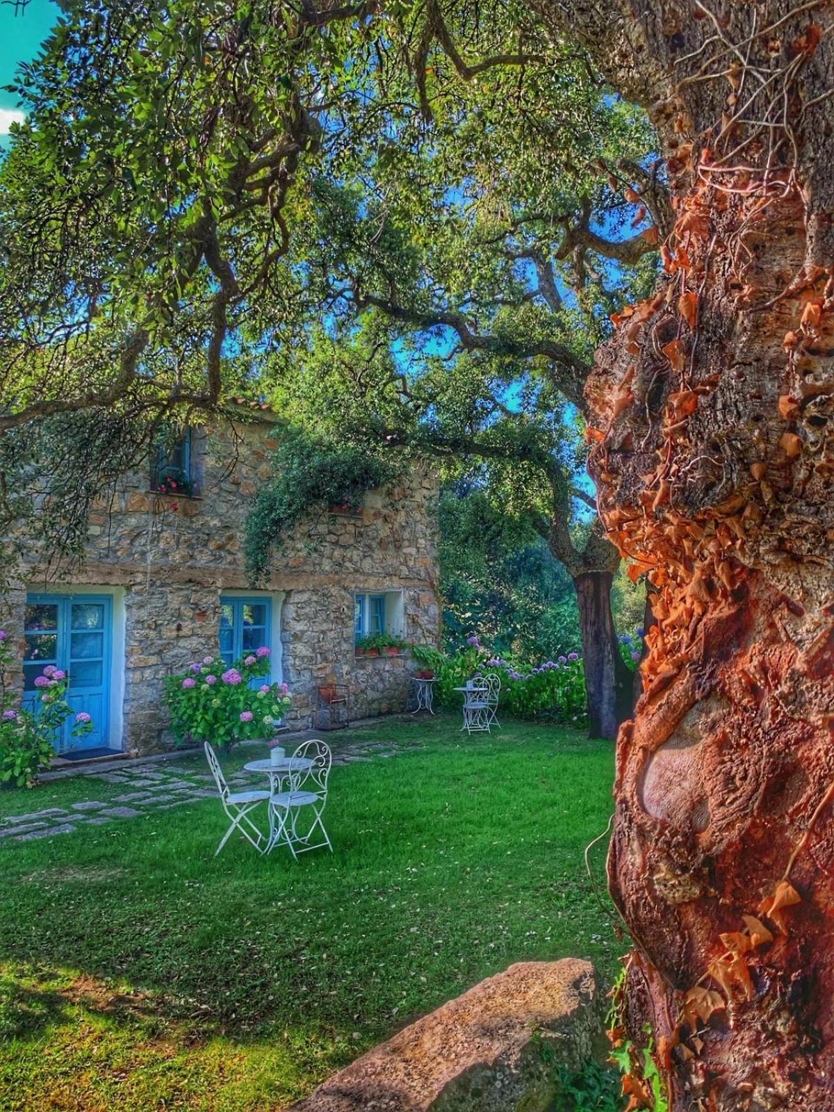 Agriturismo Casteddu Padru Экстерьер фото